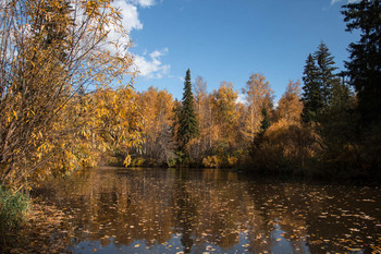 The palette of autumn / ***