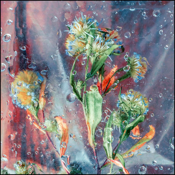 &nbsp; / [img]https://b.radikal.ru/b30/1909/c3/142fe1a8182a.jpg[/img]


[img]https://b.radikal.ru/b41/1909/61/d7d010ef4b47.jpg[/img]