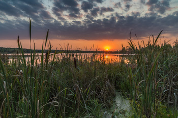 September evening / ***