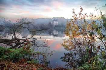 Autumn landscape / ***