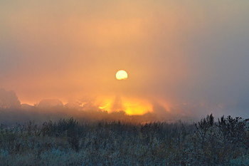 Foggy morning ... / ***