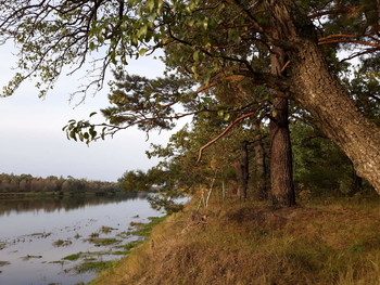 Over the river / ***