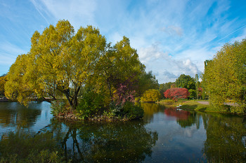 autumn motive / ***