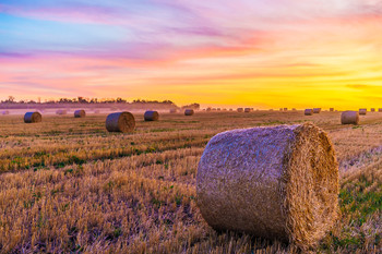 Signs of autumn / ***