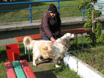 Signs of autumn / ***