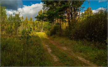 Signs of autumn / ***