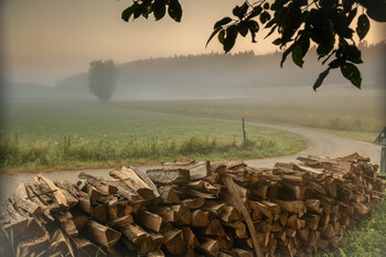 Signs of autumn / ***