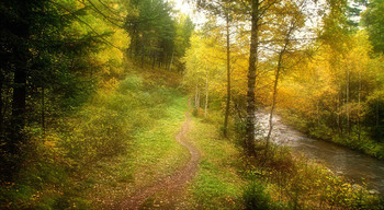 Signs of autumn / ***