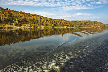 Signs of autumn / ***