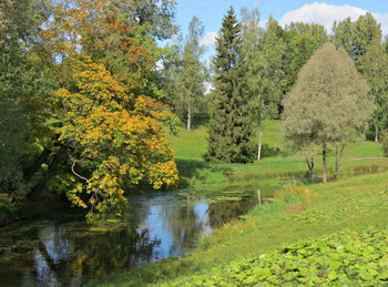 Signs of autumn / ***
