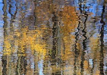 Signs of autumn / ***