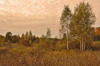 Signs of autumn / ***
