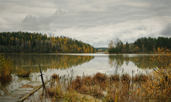 Signs of autumn / ***