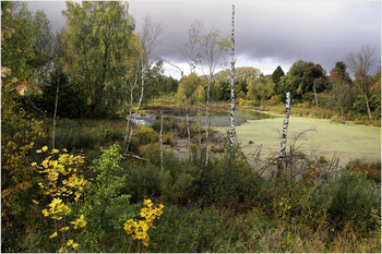 Signs of autumn / ***