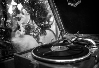 outside the window ... / ***
