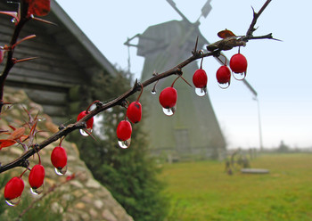 Signs of autumn / ***