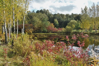 Signs of autumn / ***