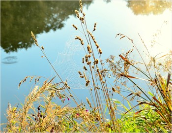 Signs of autumn / ***