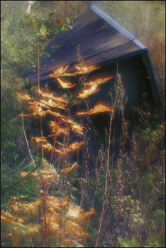 Signs of autumn / [img]https://c.radikal.ru/c06/1909/23/3ab8bafd876f.jpg[/img]
[img]https://d.radikal.ru/d07/1909/6b/26a7cd9b35bb.jpg[/img]
[img]https://d.radikal.ru/d36/1909/a7/5896540da06f.jpg[/img]
