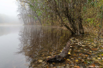 Signs of autumn / ---