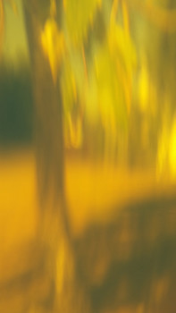 Signs of autumn / [img]https://a.radikal.ru/a02/1909/0d/a22101569b33.jpg[/img]
[img]https://c.radikal.ru/c35/1909/83/a3723e548f10.jpg[/img]
[img]https://d.radikal.ru/d42/1909/fb/16380d920911.jpg[/img]
[img]https://c.radikal.ru/c32/1909/f6/2a58a158a066.jpg[/img]
