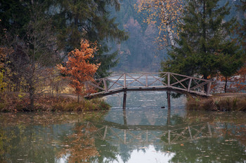 Signs of autumn / ***