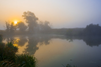Foggy morning. / ***