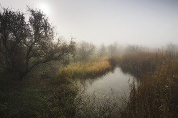 In the old lake / ***