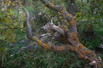 &nbsp; / [img]https://i.imgur.com/8vVCP34.jpg[/img]
[img]https://i.imgur.com/XmEgwhg.jpg[/img]
[img]https://i.imgur.com/OOchNpv.jpg[/img]
[img]https://i.imgur.com/V45pb2Y.jpg[/img]
