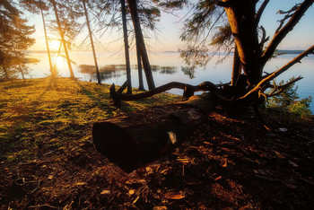 With the first rays / ***