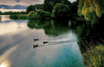 By the pond. / ***
