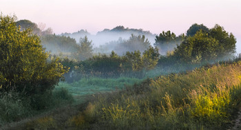 Fog at dawn. / ***