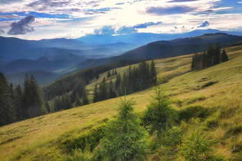On the slopes of the Carpathians / ***