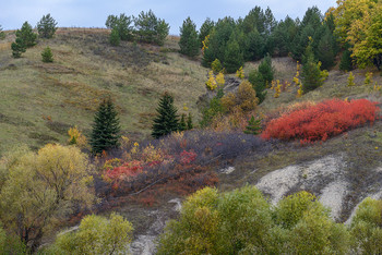 About autumn ... / ***