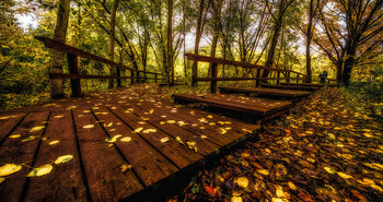Staircase. / ***