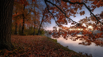 What is the Fall / ***