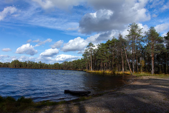 Forest Lake. / ***