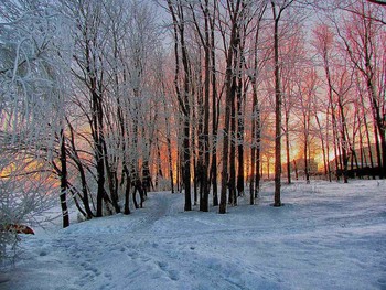 &nbsp; / ***