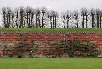 Wall / ***