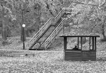 alone with the fall / ***