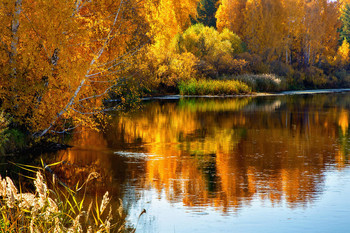 Autumn Painting / ***