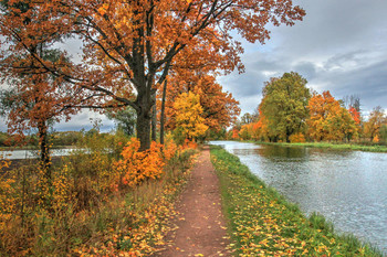 in the park / ***