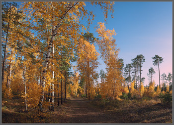 Indian summer / ---