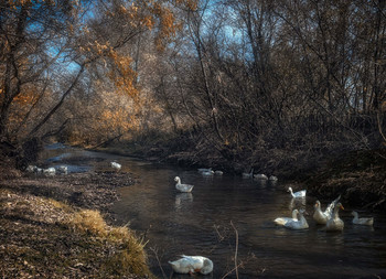 &nbsp; / https://imgur.com/a/SMm3UBC