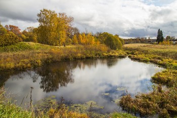 Autumn Pond / ***