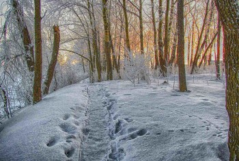 Sunrise over the river / ***