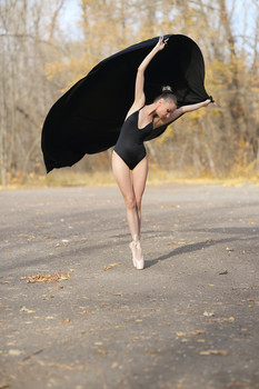 Autumn / ***