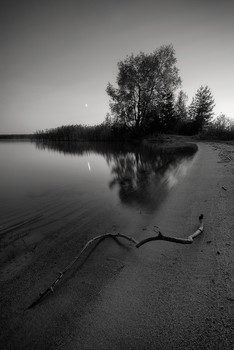 In the twilight / ***