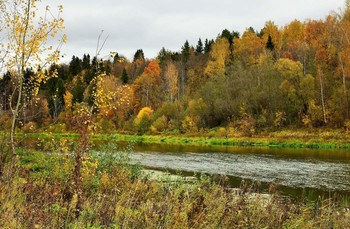 Fall ... / ***