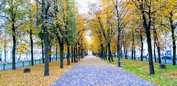 Autumn in the city / ***